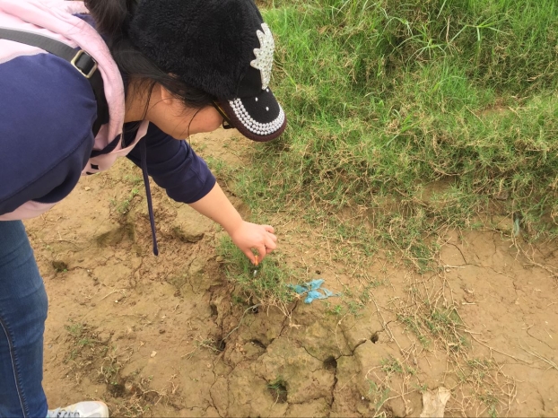 BG����(����)Ψһ�ٷ���վ