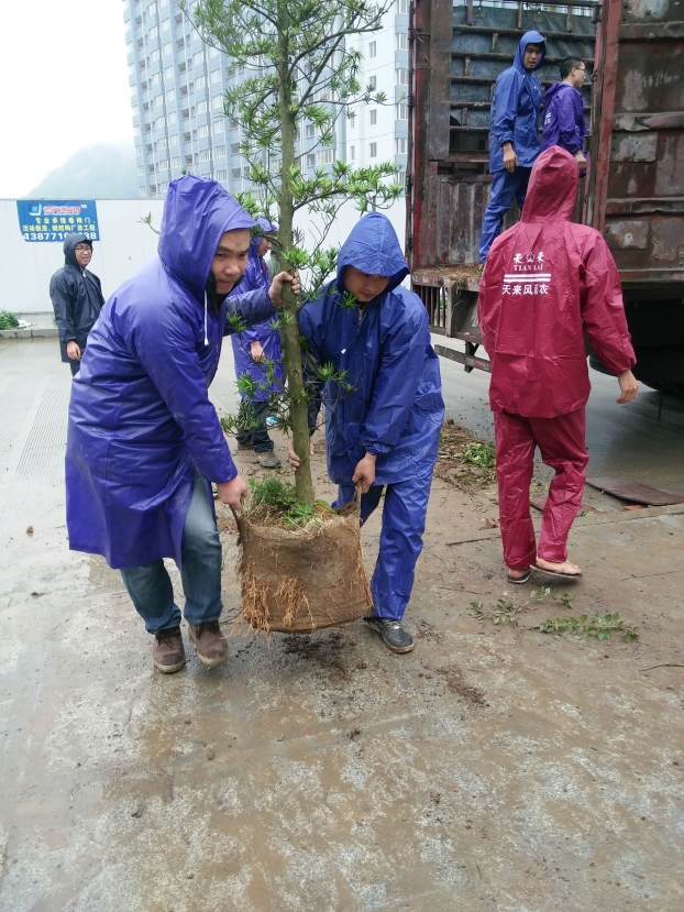 BG����(����)Ψһ�ٷ���վ