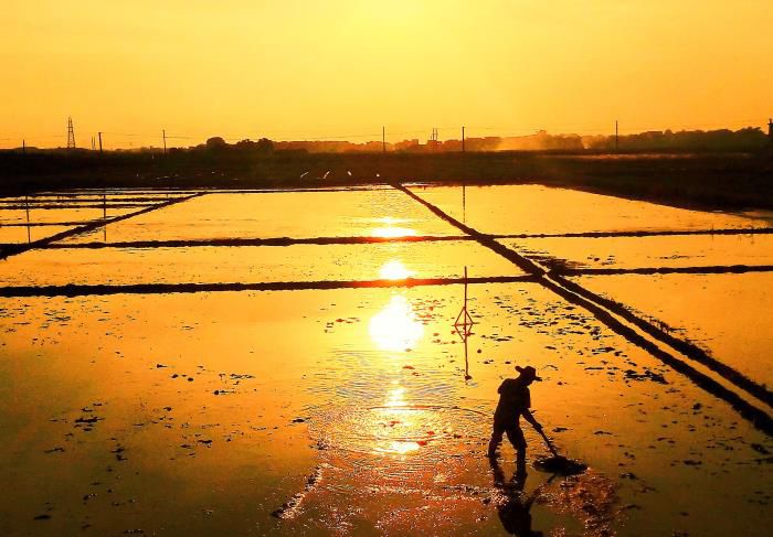 5��Ӱ��Ʒ�������������Ƚ���Τ��ΰ ��-13768307144700.jpg