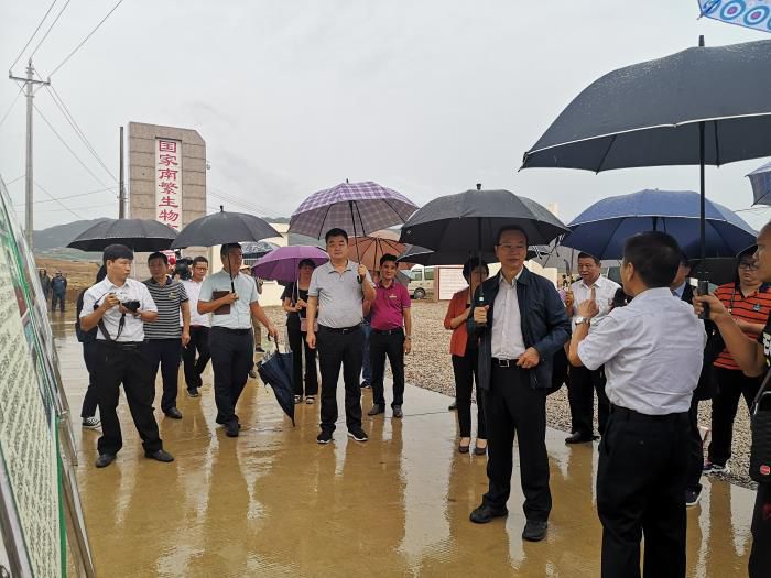 1573089809176344.jpg 1视察现场700.jpg