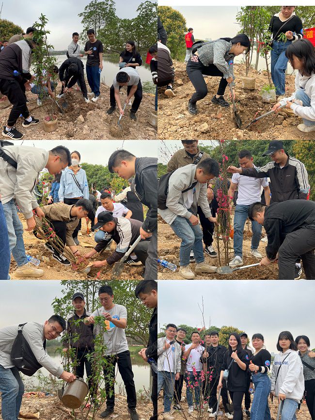 ֲ���ֳ������� �㣨��ͼ��.jpg